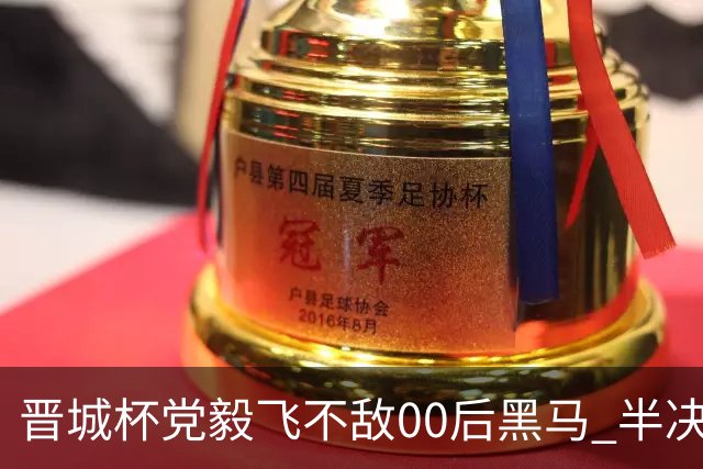 晋城杯党毅飞不敌00后黑马 半决赛连笑战李轩豪